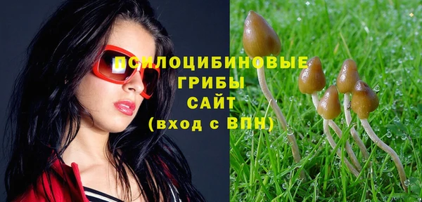мдма Новозыбков