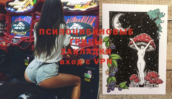 мдма Новозыбков