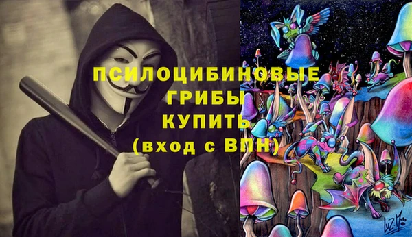 шишки Балахна