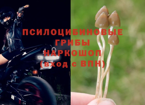 а пвп мука Нефтегорск