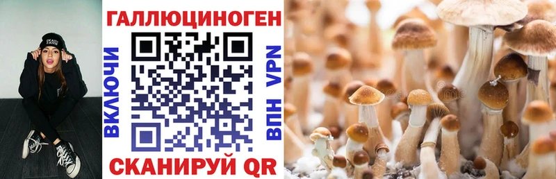 сайты даркнета состав  Чкаловск  Галлюциногенные грибы Cubensis  наркота 
